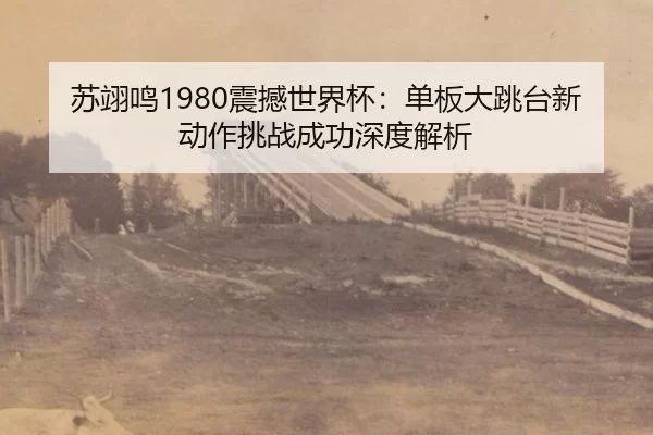 苏翊鸣1980震撼世界杯：单板大跳台新动作挑战成功深度解析